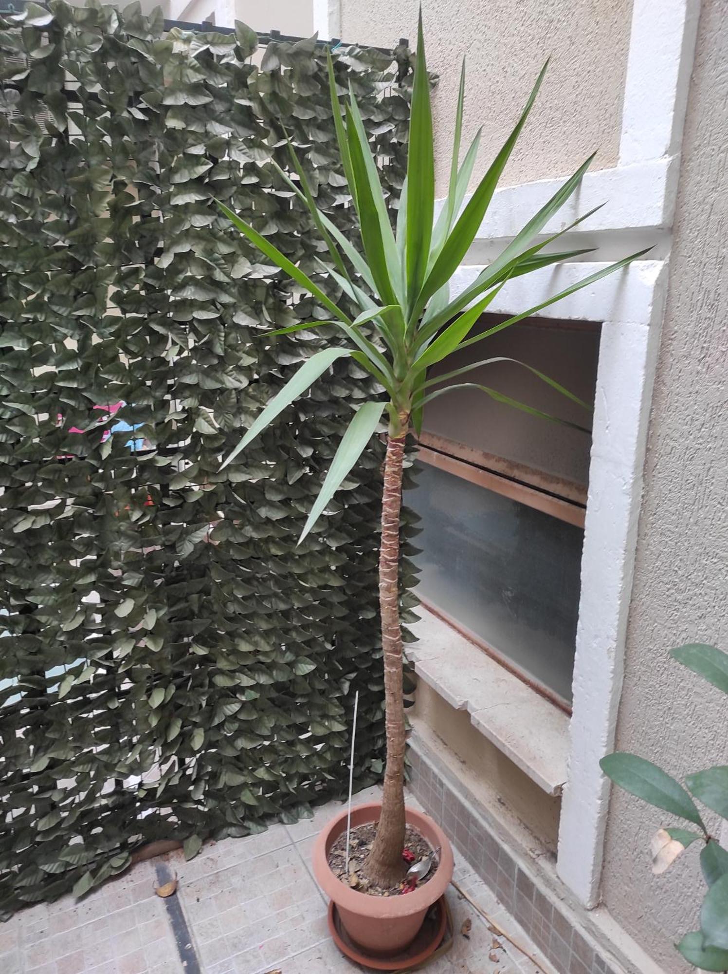 Casa Bacchilide Lägenhet Syrakusa Exteriör bild